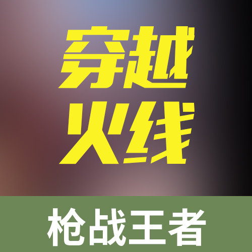 枪战王者